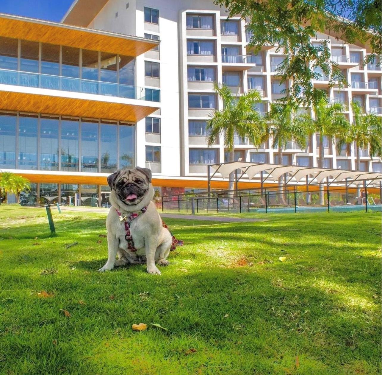 Novotel Itu Terras De Sao Jose Golf & Resort Kültér fotó